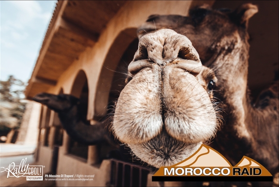 Marocco Raid by Leon Sagaert